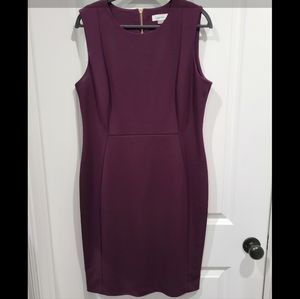 Calvin Klein fitted dress